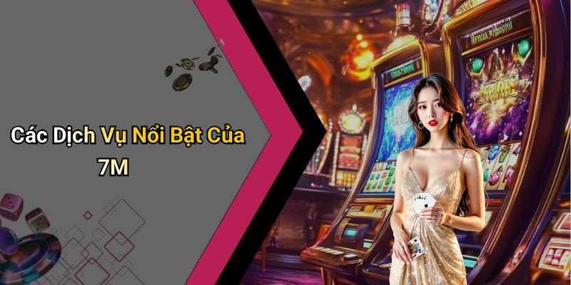 Các Dịch Vụ Nổi Bật Của 7M