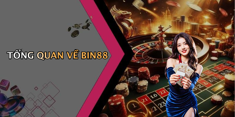 TỔNG QUAN VỀ BIN88
