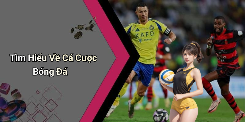 Tìm Hiểu Về Cá Cược Bóng Đá