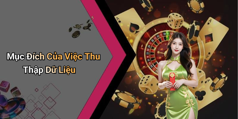 Mục Đích Của Việc Thu Thập Dữ Liệu