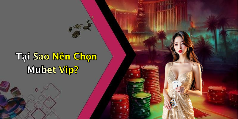 Tại Sao Nên Chọn Mubet Vip?