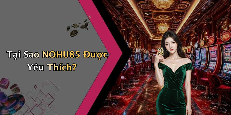 Tại Sao NOHU85 Được Yêu Thích?