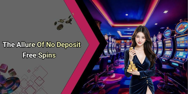 The Allure Of No Deposit Free Spins