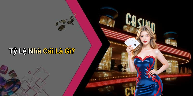 Tỷ Lệ Nhà Cái Là Gì?