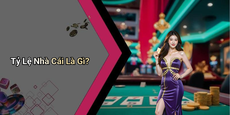 Tỷ Lệ Nhà Cái Là Gì?