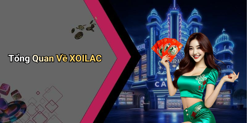 Tổng Quan Về XOILAC