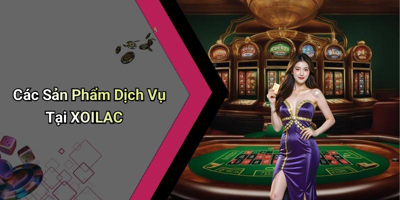 Các Sản Phẩm Dịch Vụ Tại XOILAC