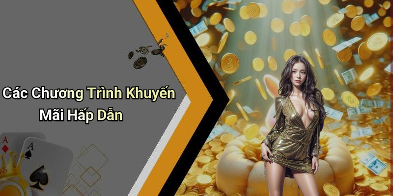 Các Chương Trình Khuyến Mãi Hấp Dẫn