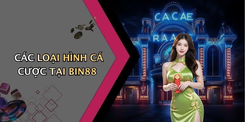 CÁC LOẠI HÌNH CÁ CƯỢC TẠI BIN88