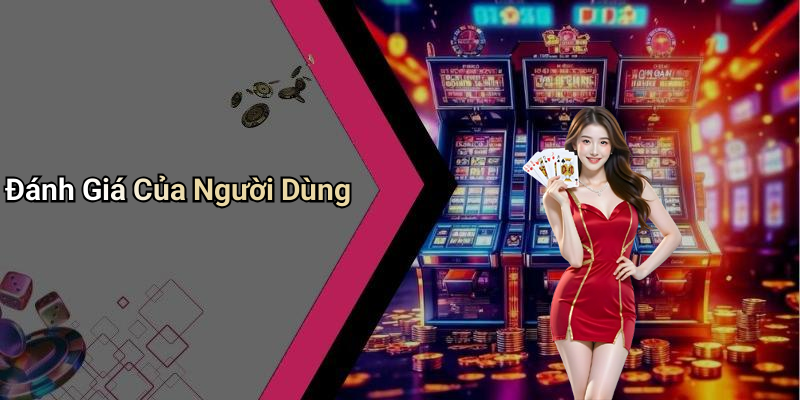 Đánh Giá Của Người Dùng