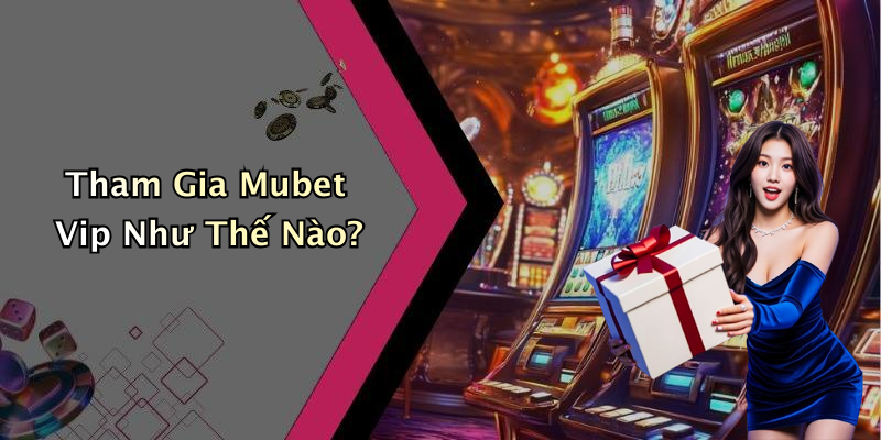 Tham Gia Mubet Vip Như Thế Nào?
