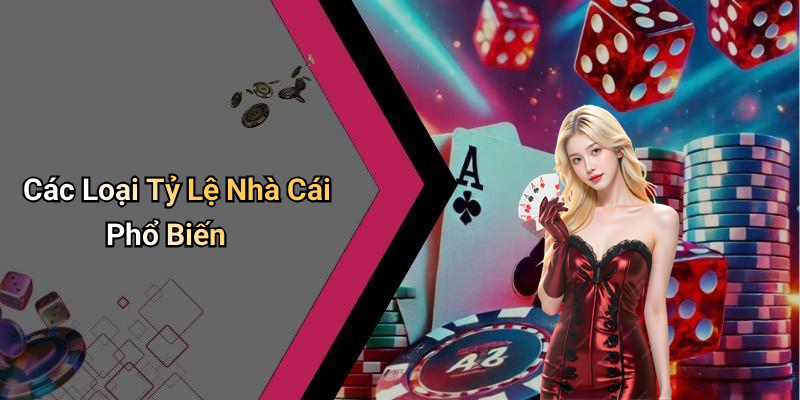 Các Loại Tỷ Lệ Nhà Cái Phổ Biến