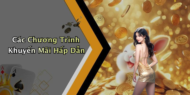 Các Chương Trình Khuyến Mãi Hấp Dẫn