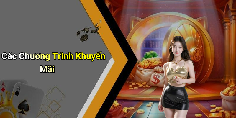 Các Chương Trình Khuyến Mãi
